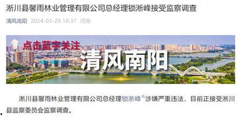 河南南阳市最新爆料,揭秘南阳市最新动态与热点事件 第3张 河南南阳市最新爆料,揭秘南阳市最新动态与热点事件 第3张