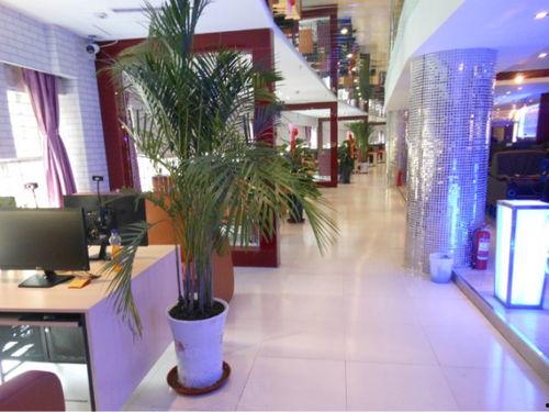 石家庄网吧最新爆料,揭秘最新爆料背后的行业变革 第2张 石家庄网吧最新爆料,揭秘最新爆料背后的行业变革 第2张